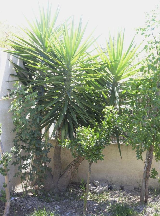 Holiday home Le Venitien Arles